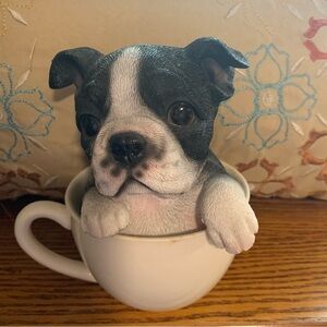 Boston Terrier in a cup